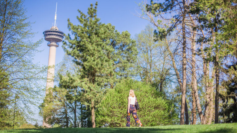 Nainen kävelee vehreässä Näsinpuistossa, horisontissa näkyy Näsinneula.